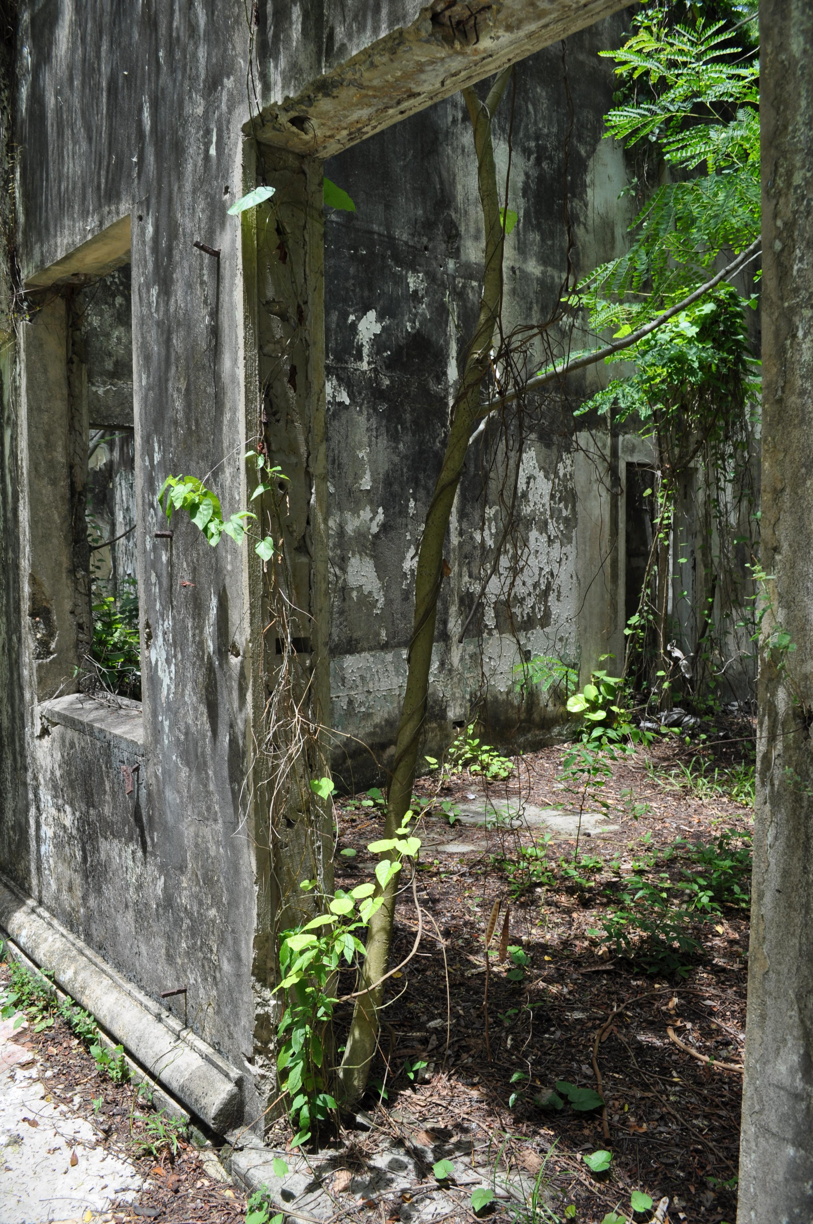 Antigua Lechería y Residencia de la Facultad de la Universidad de Puerto Rico - San Juan (Río Piedras) - 2015 00014